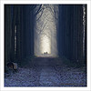 walk toward the light of knowledge